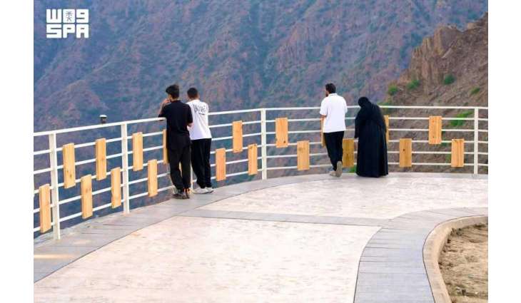 Lavender Walkway Emerges as Key Attraction of Al-Baha Summer 2026