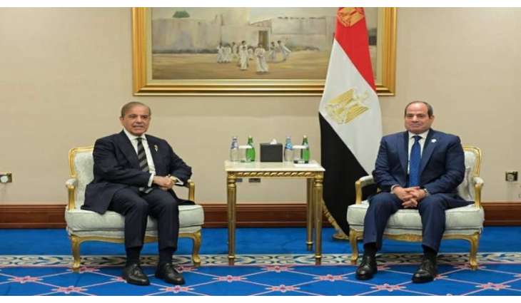 رئیس الوزراء شھباز شریف یشید بدعم الرئیس المصري لانجاح مسار السلام