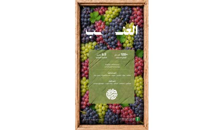عناقيد العنب تغمر الأسواق بإنتاج وفير يتجاوز 128 ألف طن من أجود الأصناف المحلية