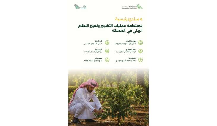 البرنامج الوطني للتشجير: ستة مبادئ رئيسة لاستدامة عمليات التشجير وتغيير النظام البيئي في المملكة