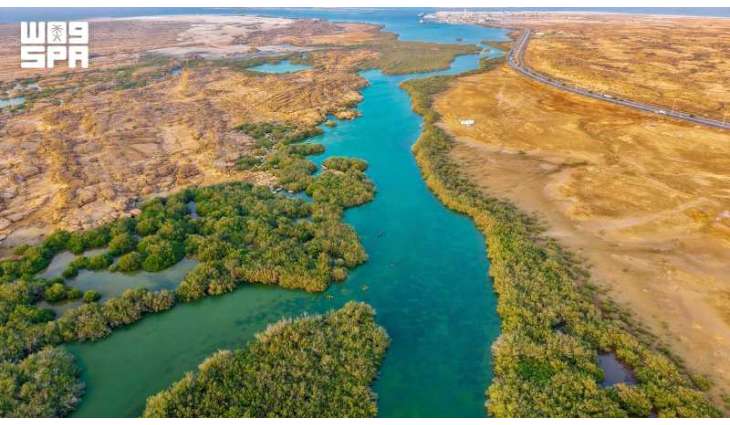 Jazan’s Mountain, Mangrove, Valley Forests Enrich Ecotourism Landscape