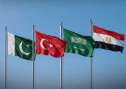 Egypt, Pakistan, Saudi Arabia, Türkiye affirm US-Iran agreement should ensure security and stability of Gulf region
