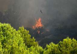 Wildfire forces evacuations in southern France