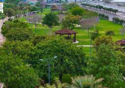 أمانة الطائف تعزز جاهزية أكثر من 120 متنفسًا سياحيًا لاستقبال الزوار خلال الصيف