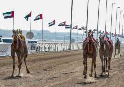 الاتحادات الرياضية في الإمارات/ إستراتيجيات طموحة لتعزيز الإنجازات (10)