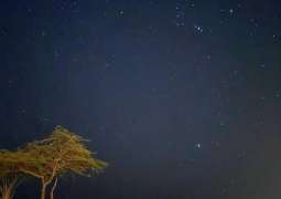 Tranquility of Nature and Brilliance of Stars Paint Captivating Night Scene at Imam Turki bin Abdullah Royal Reserve