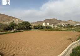دخول نجم 