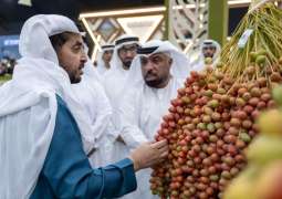Hamdan bin Zayed visits 22nd Liwa Dates Festival