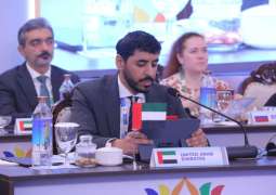 UAE participates in Third BRICS Transport Ministers' Meeting in India