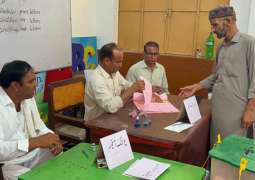 PML-N dominates First Phase of AJK polls with 8 seats, PPP wins three