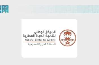 NCW: Third Phase of Initiative to Register Unlicensed Wildlife Concludes