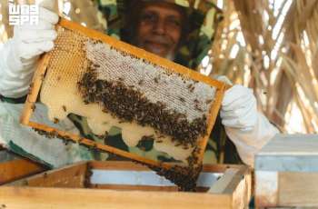 Saudi Reef Academy Implements Initiative to Develop Beekeeping Sector, Promote Sustainable Rural Development in Eastern Region