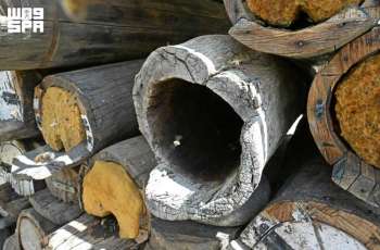 Aseer's Ancient Honeycomb Sanctuaries Preserve Legacy of Beekeeping