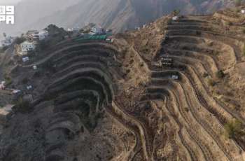 Mountain Terraces of Jazan: A Heritage of Sustainable Agricultural Engineering