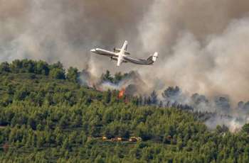 Wildfires in southern France consume nearly 1,000 hectares of forest