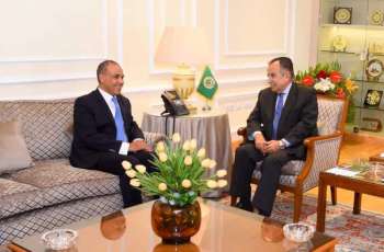 Arab League Secretary-General, Egyptian Foreign Minister stress importance of advancing joint Arab action
