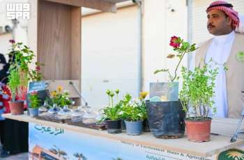 Four-Day Farmers Market Festival Launches in Turaif