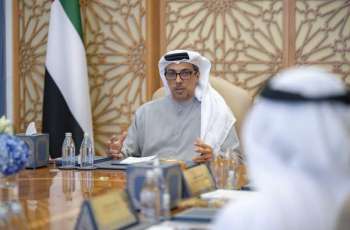 Mansour bin Zayed chairs Financial Stability Council Board meeting