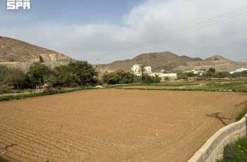 Sirius Marks Start of Aseer's Traditional Autumn Season