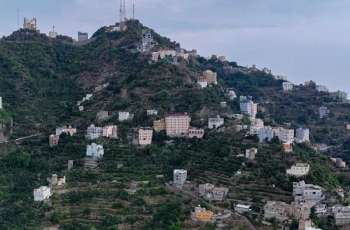 Rainfall Transforms Jazan's Mountains into Vibrant Green Landscape