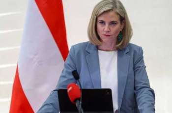Austria stresses need to continue implementing Gaza peace plan