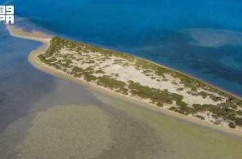 Al-Rayis Beach Showcases Turquoise Waters, White Sands on Madinah's Red Sea Coast