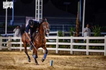 مرابط الخيل في الطائف.. تجربة تعيد تقديم الفروسية للسياح
