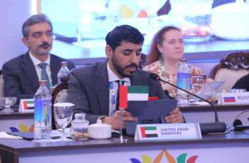 UAE participates in Third BRICS Transport Ministers' Meeting in India