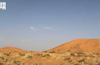 Al-Hanateen Dunes Reflect Natural and Historical Heritage near Rafha