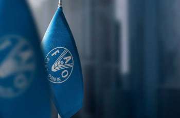 Global hunger levels ease for third consecutive year, FAO says