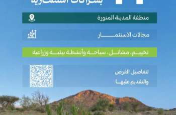 مركز 