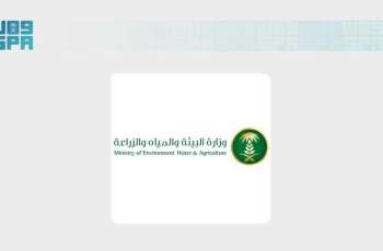 Environment Ministry: Afforestation is Key to Reducing Temperatures and Improving Quality of Life