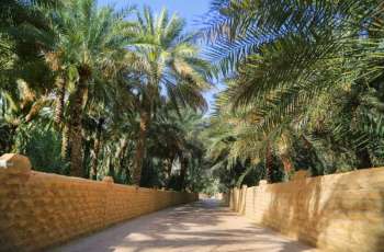 بلدية مدينة العين تنفذ برامج متكاملة لحماية النخيل وصون الأفلاج التاريخية بالواحات