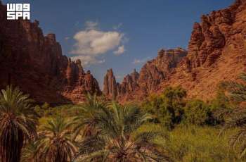 Saudi Arabia's Voluntary Carbon Market Fuels the Shift to a Low-Carbon Future