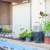 Four-Day Farmers Market Festival Launches in Turaif