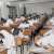 Karachi Board declares Class 10 Science results, over 141,000 students pass