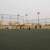 Makkah's Neighborhood Courts Emerge as Hub for Youth Sports, Talent Discovery