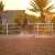 Equestrian Sport Gains Momentum Among Girls in Tabuk Region