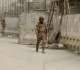 Operation Shaban: Nine more militants killed in Balochistan