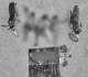 Security forces kill 10 militants, arrest two female suicide bombers in Balochistan operations