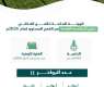 الهيئة العامة للأمن الغذائي تطرح المناقصة الرابعة لهذا العام لاستيراد 655 ألف طن قمح