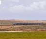 Qassim's Natural Diversity Boosts Position as Ecotourism Destination
