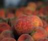 Saudi Retail Outlets Thrive with over 31,000 Tons of Locally Produced Peaches