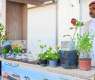Four-Day Farmers Market Festival Launches in Turaif