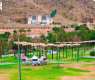 Tharwa National Park Strengthens Appeal as Al-Baha's Premier Summer Destination