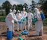 Most Ebola deaths in DR Congo outbreak occurring outside health facilities