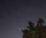 Moon and Venus Align in Saudi Skies