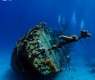 'Submerged Treasures' Exhibition Tells Story of Umluj Shipwreck from Merchant Vessel to Archaeological Site