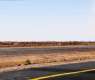 Dust Devils: A Summer Phenomenon Shaped by Surface Temperatures