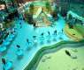 Makkah's Bird Parks Enhance Family Recreation and Environmental Awareness